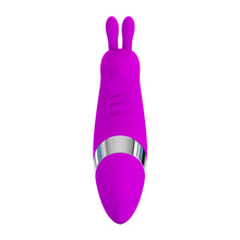 Load image into Gallery viewer, PRETTY LOVE 12 Function Bunny Vibrator