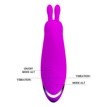 Load image into Gallery viewer, PRETTY LOVE 12 Function Bunny Vibrator