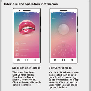 PRETTY LOVE 10 Functions Vibrators / Mobile app control