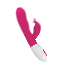 Load image into Gallery viewer, PRETTY LOVE 30 Functions Vibrator - Felix