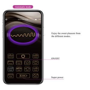 Mobile App Control 12 Functions Vibrator