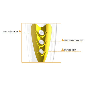 Men's Masturbator  (Mouth) 12 Functions Vibration, Voice