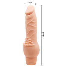 Load image into Gallery viewer, Realistic Dildo Vibrator