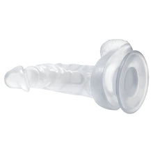 Load image into Gallery viewer, Jelly Dong