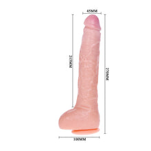 Load image into Gallery viewer, Solid Suction Cup Multi-Speed Vibration