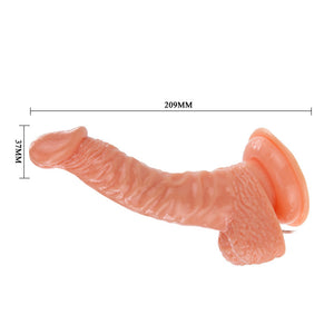 Super Rota Dong With Suction Base