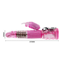 Load image into Gallery viewer, Mutil-Speed Vib and Rotate Rabbit Vibrator