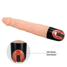 Load image into Gallery viewer, Multi Speed Stimulation Realistic Feeling Vibrator