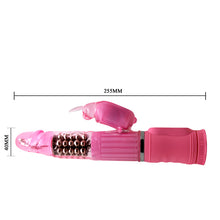 Load image into Gallery viewer, Exotics Vibrator Rabbit Rotation with Metal Beads