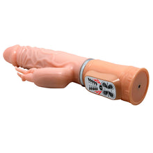 Load image into Gallery viewer, Fire Dragon Heating 48°C - 5 Functions of Vibrator